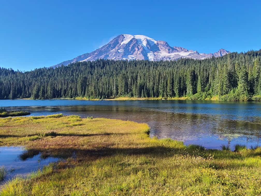 Mount Rainier Organics